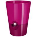 Kruidenpot fuchsia