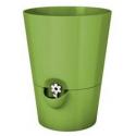 Kruidenpot lime