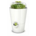 Kruidenpot startersset wit