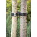 Spijkerboomband 60 cm - 2 stuks