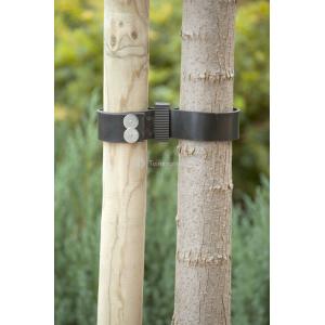 Spijkerboomband 60 cm - 2 stuks