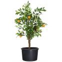 Victoria container 36 x Ø 68 cm - 90 liter