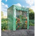 Tomato serre tuinkas