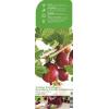 Rode kruisbes (ribes uva crispa "Captivator") fruitplanten