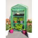 Apple Mint foliekas