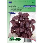 Basilicum zaden - Purple Ruffles