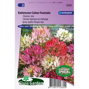 Cleome Mix bloemzaden - Kattensnor Colour Fountain