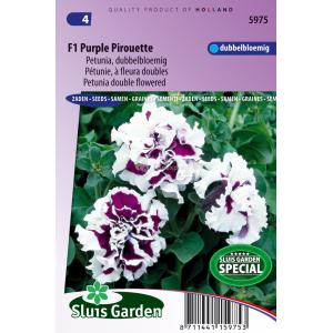 Dubbelbloemige petunia bloemzaden – F1 Purple Pirouette