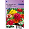 Eenjarige Zinnia bloemzaden – Zinnia Dahlia flowered mix