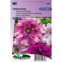 Grootbloemige petunia bloemzaden – California Giants
