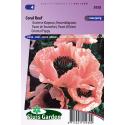 Oosterse klaproos bloemzaden – Coral reef