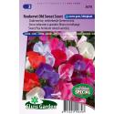 Ouderwetse welriekende siererwt mix bloemzaden – Reukerwt Old Sweet Scent