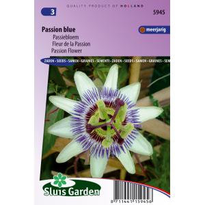 Passiebloem bloemzaden – Passion Blue