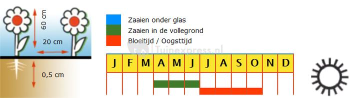 Special mix bloemzaden – Cottage Garden mix