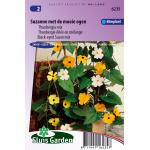 Thunbergia mix bloemzaden – Suzanne met de mooie ogen