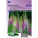 Vingerhoedskruid grootbloemig bloemzaden - Digitalis Excelsior Mix